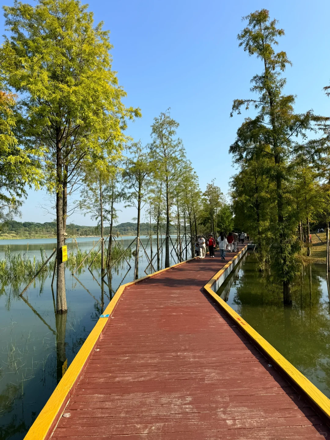 深圳的漂亮公园-1