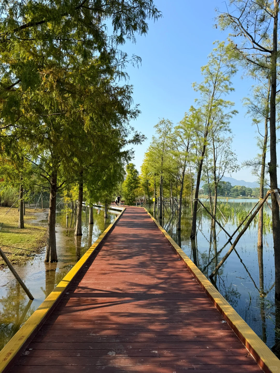 深圳的漂亮公园-1