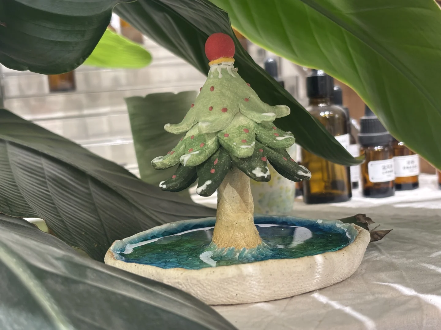 你听说了吗！陶大青年集空降深圳，珠海啦~