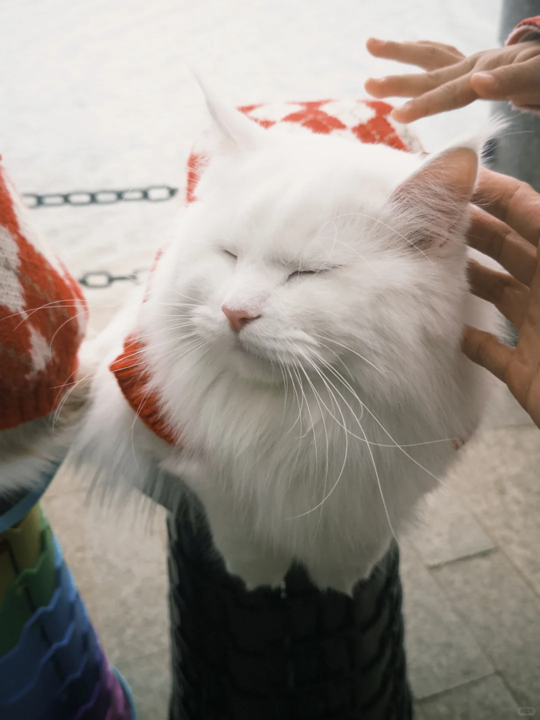 推荐一个适合带东莞仇人来遛弯的地方