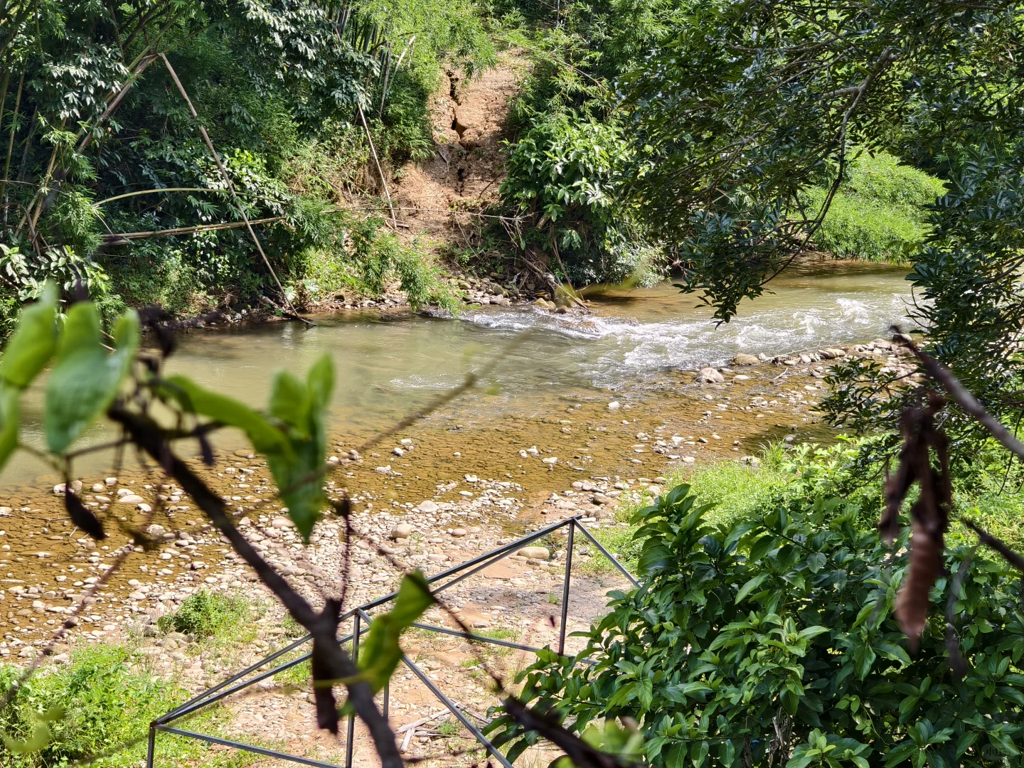 东莞附近超多鱼的山间小溪流在这