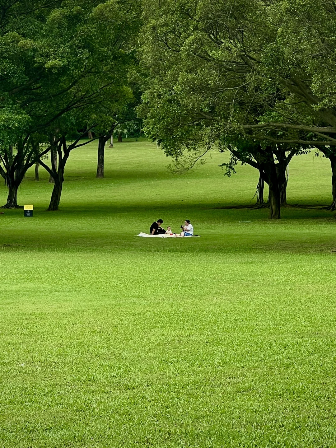 太治愈了！我在东莞找到了现实版绿野仙踪