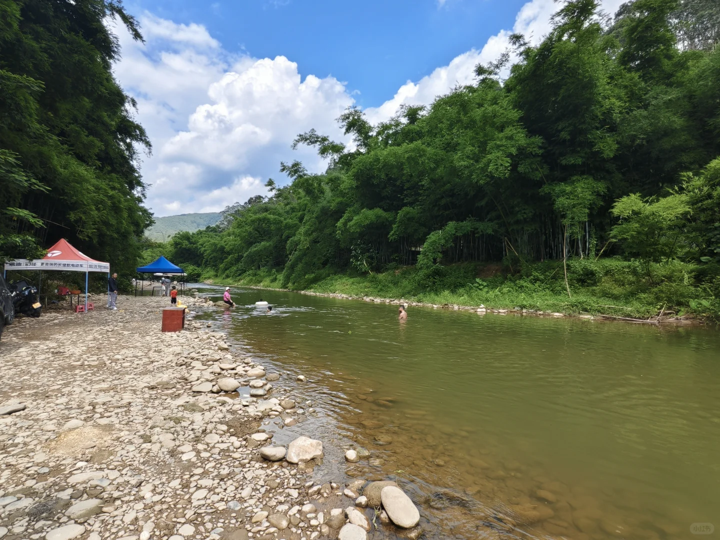 东莞附近超多鱼的山间小溪流在这