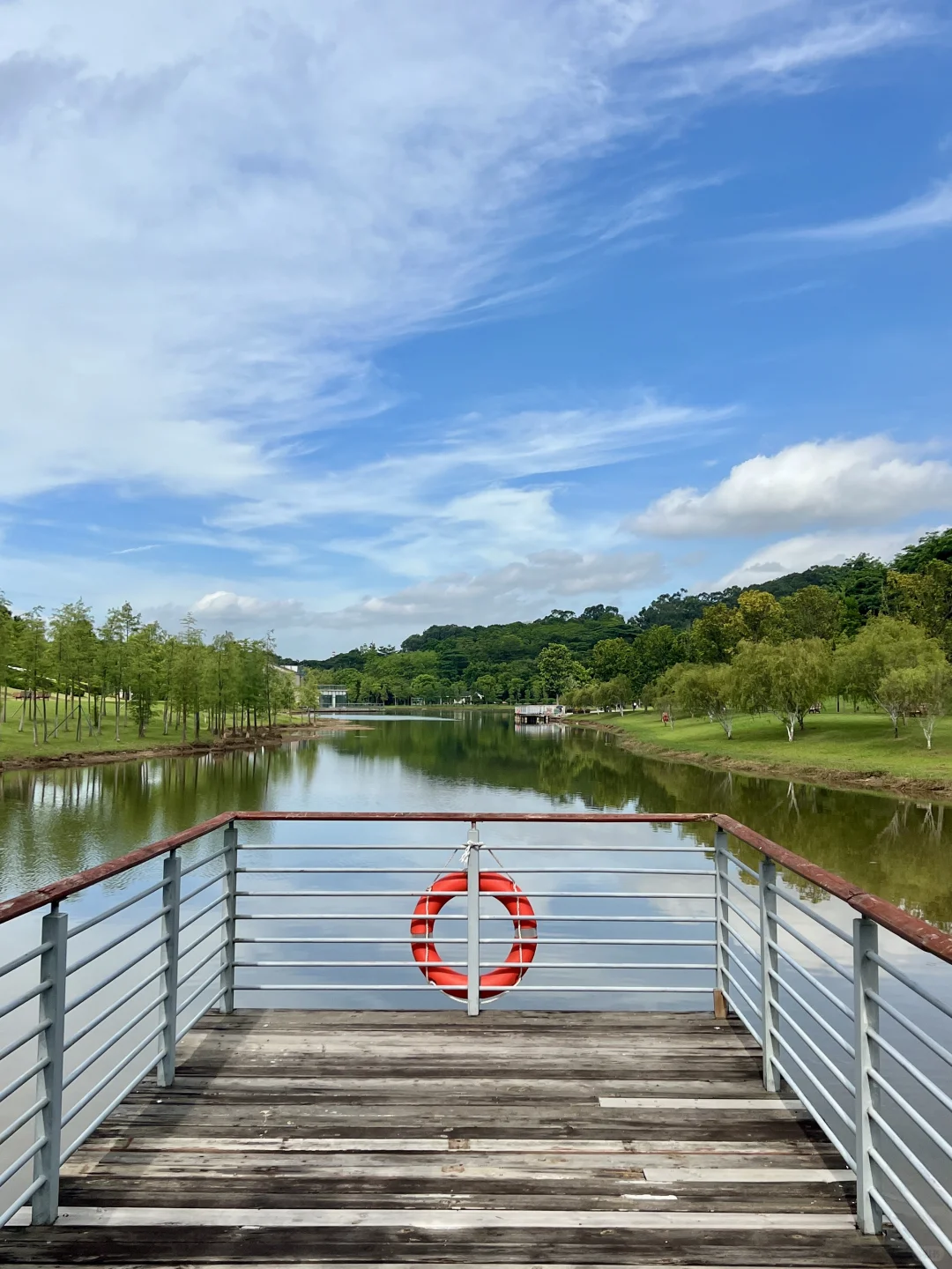 太治愈了！我在东莞找到了现实版绿野仙踪