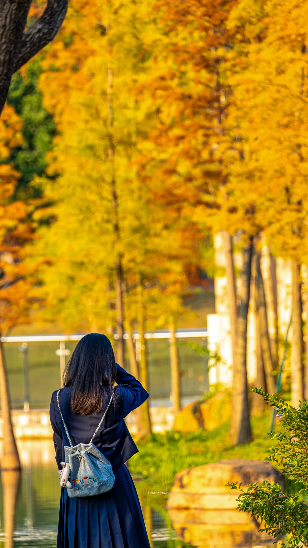东莞植物园|再不来真的要等明年了