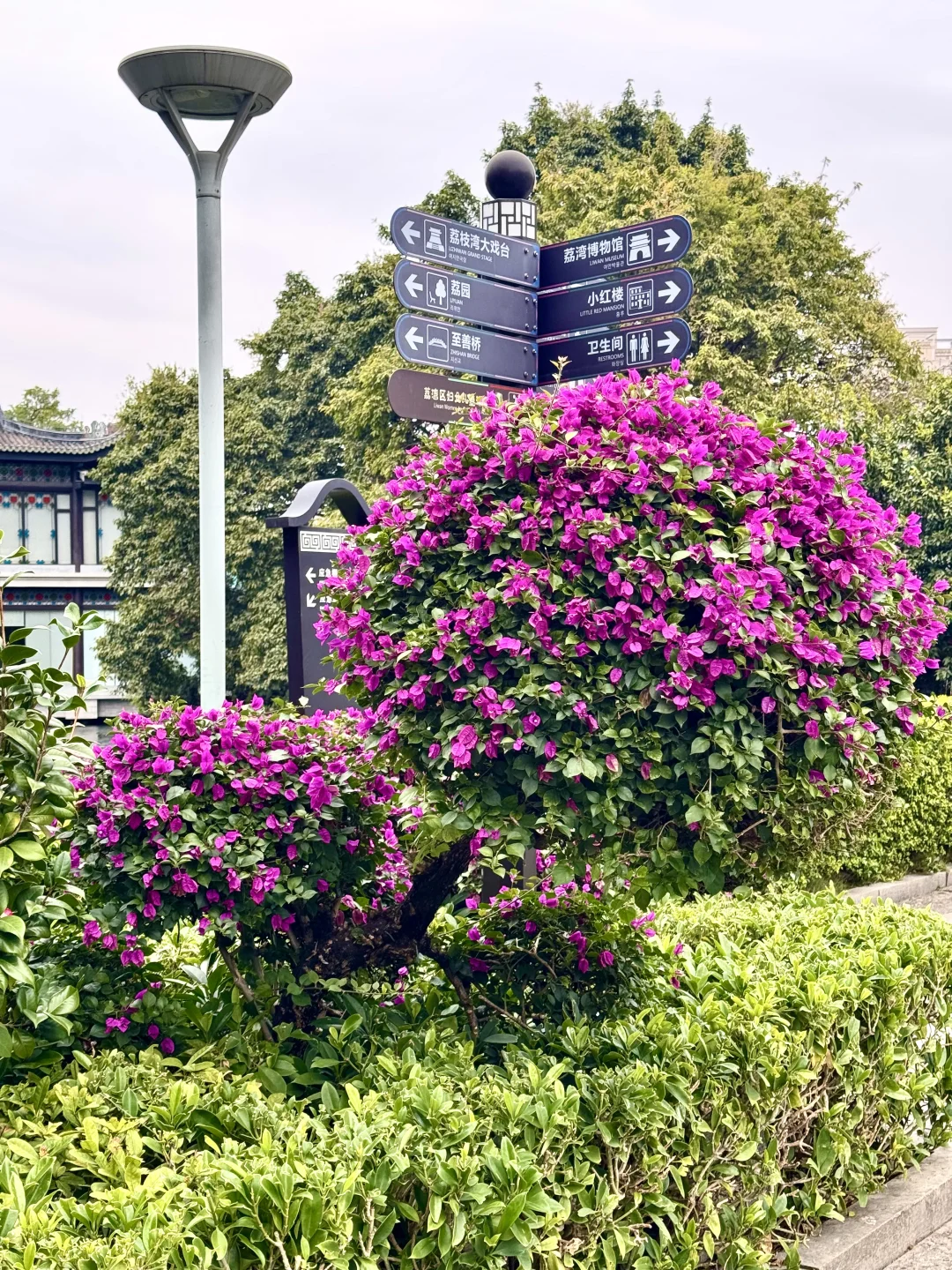 为了这18张Live图来趟广州……