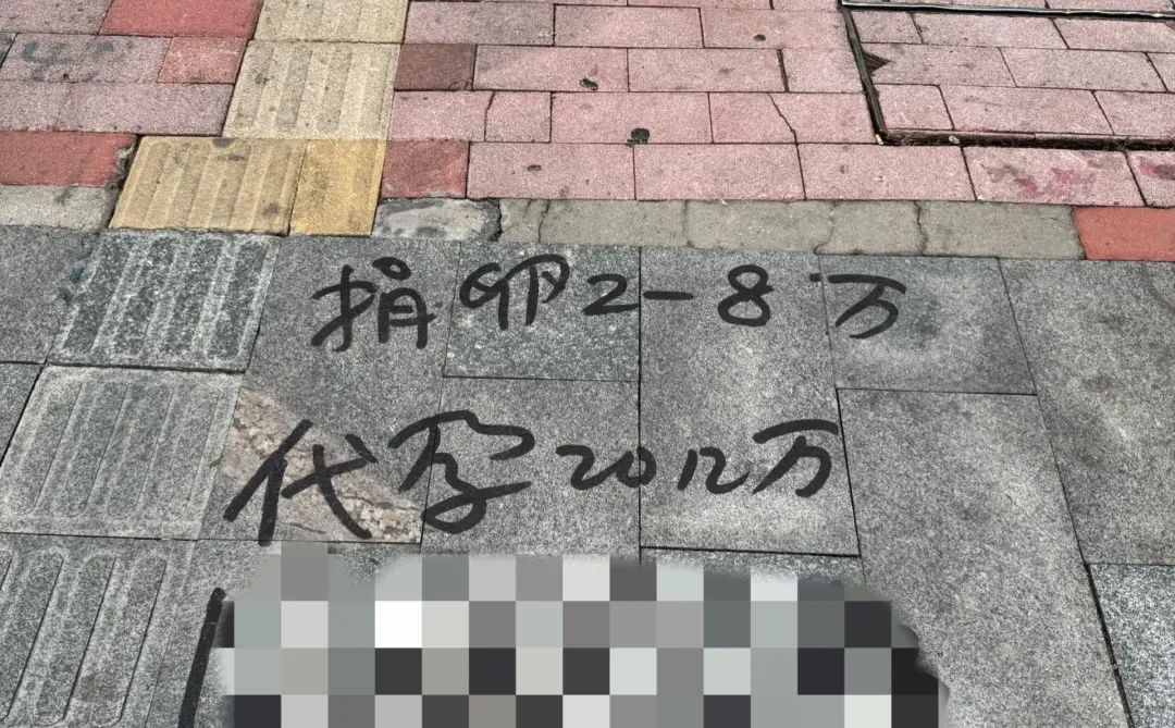 广州。当一只蟑螂出现的时候…