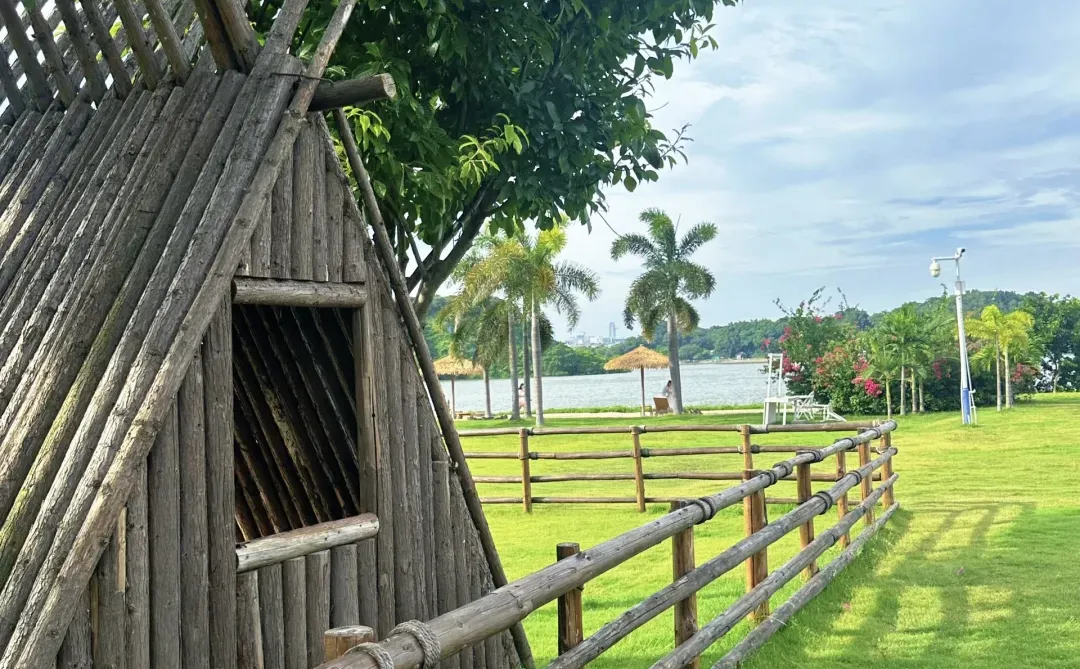 在广州！！我找到青青草原啦！！！