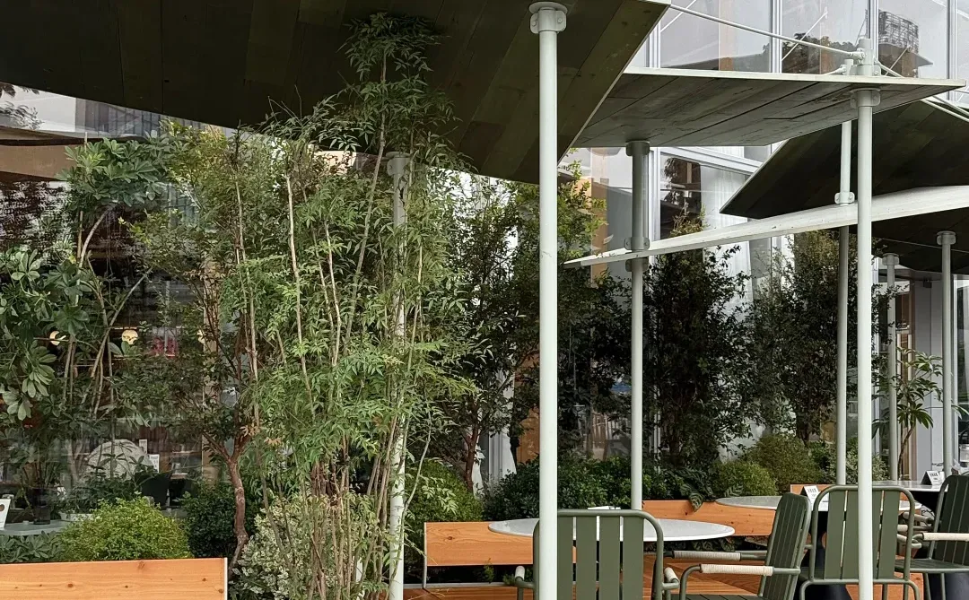 东莞首家！！终于开了！！！在国贸。。。😭😭