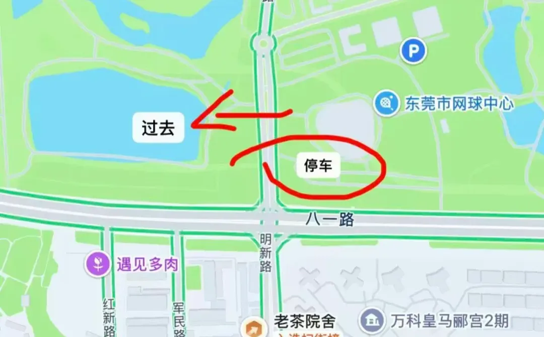 东莞落羽杉红了🍂