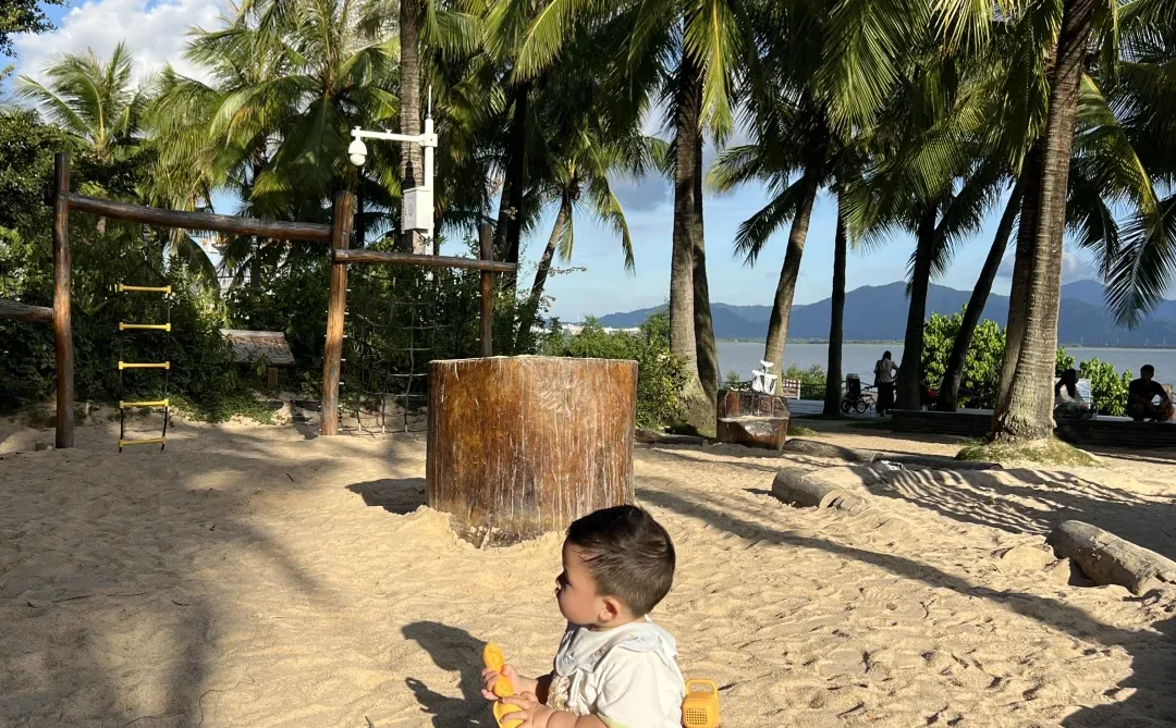 遛娃好去处（1）|深圳湾公园椰林沙滩🏝️