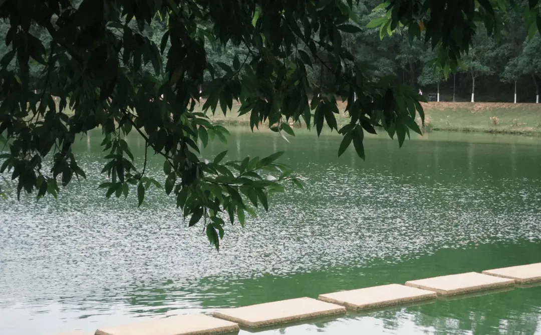 推荐一个适合带东莞仇人来遛弯的地方