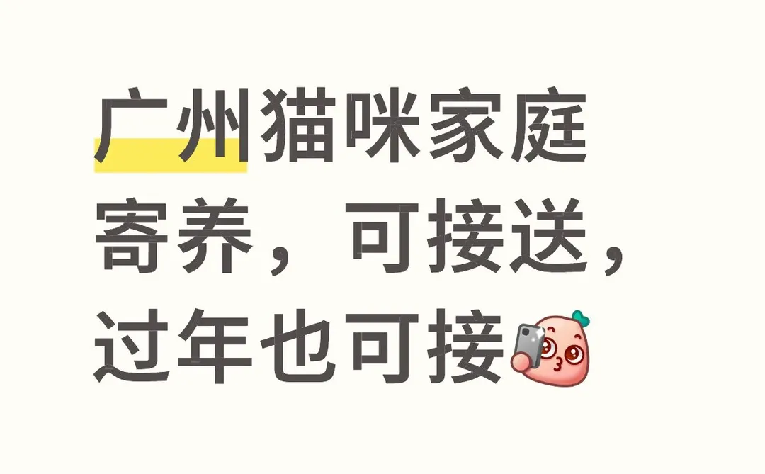 广州猫咪家庭寄养可接送