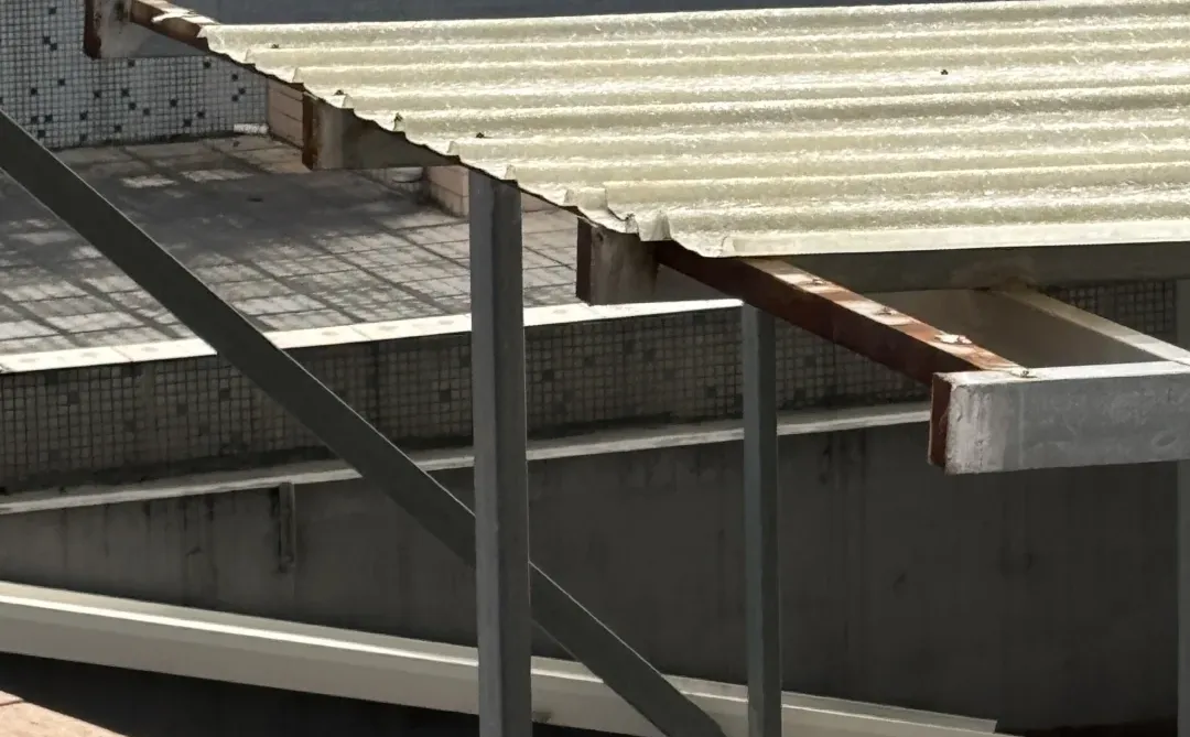 东莞厚街誰的牡丹鹦鹉飞丢了