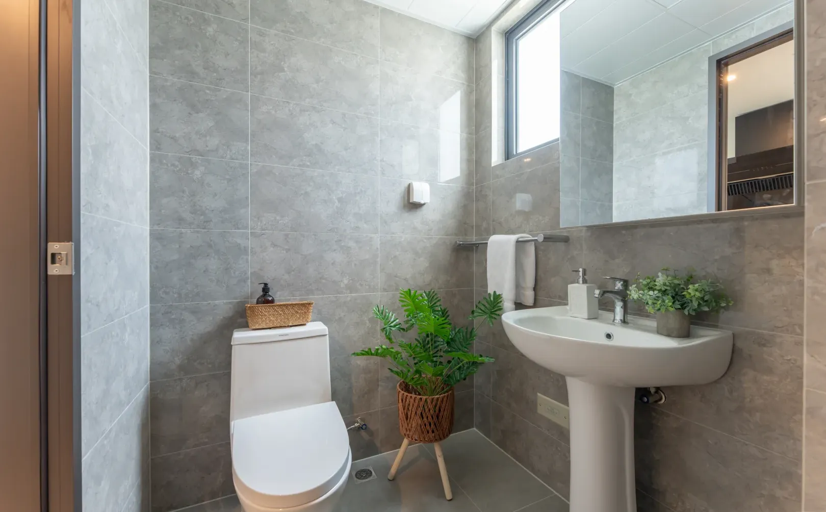 急🌸出租深圳北站好房 大单间大阳台 便宜🤩