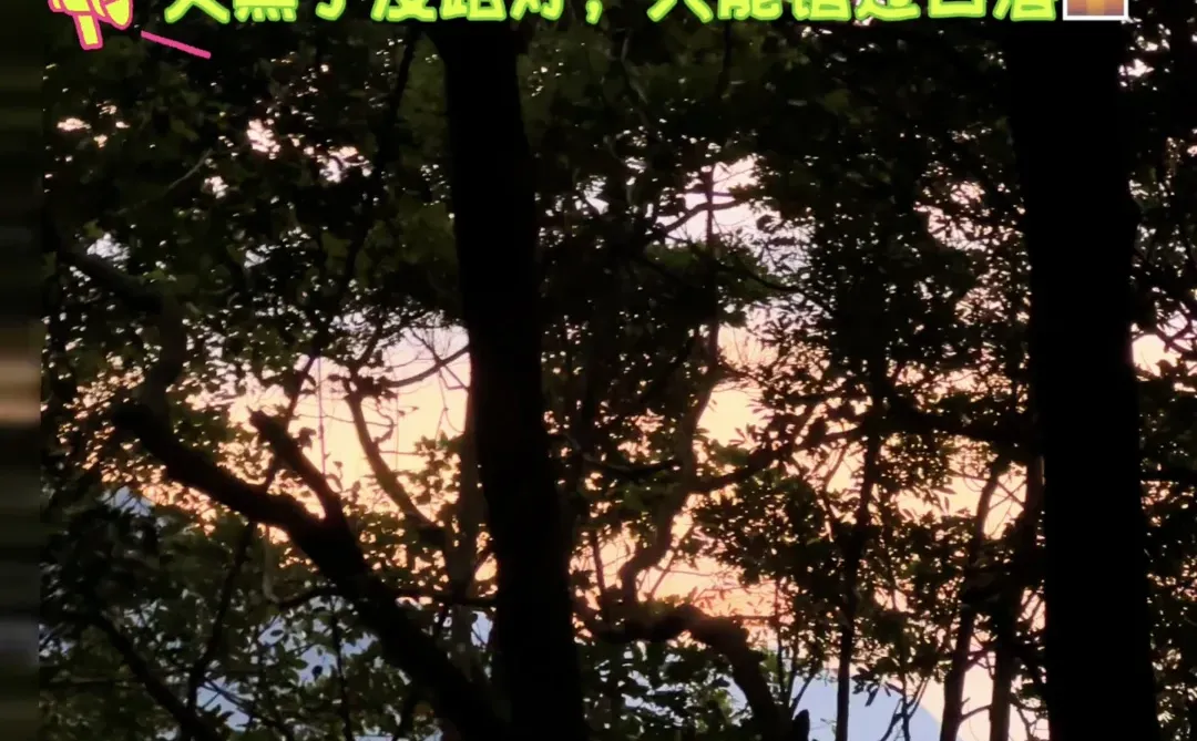 🏔️东莞第一峰！（银屏山登顶攻略）