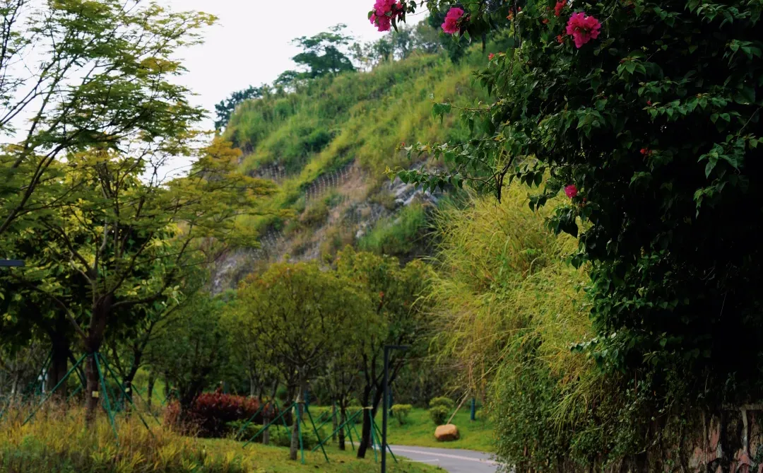 🔥东莞隐藏版“小九寨沟”！水濂山碧玉湖公园