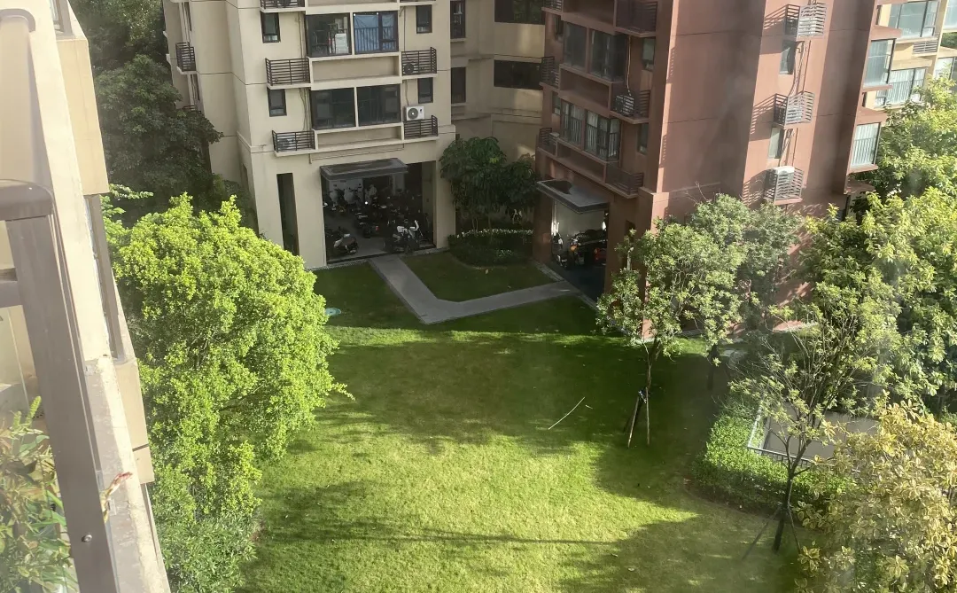 左一天气预报，左二实际天气情况