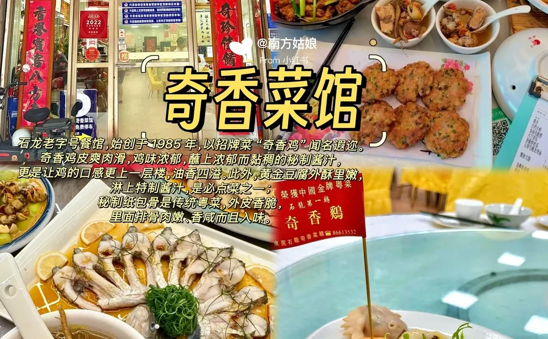 本地人带路｜东莞值得N刷的10家店