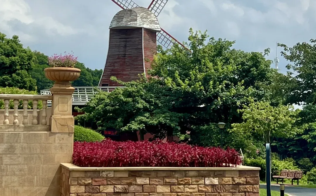 太治愈了！我在东莞找到了现实版绿野仙踪