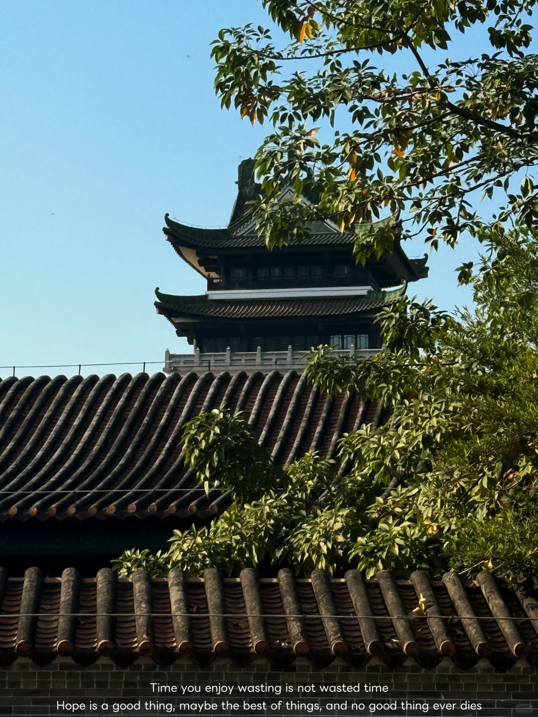 路过广州的冬天，繁花似锦