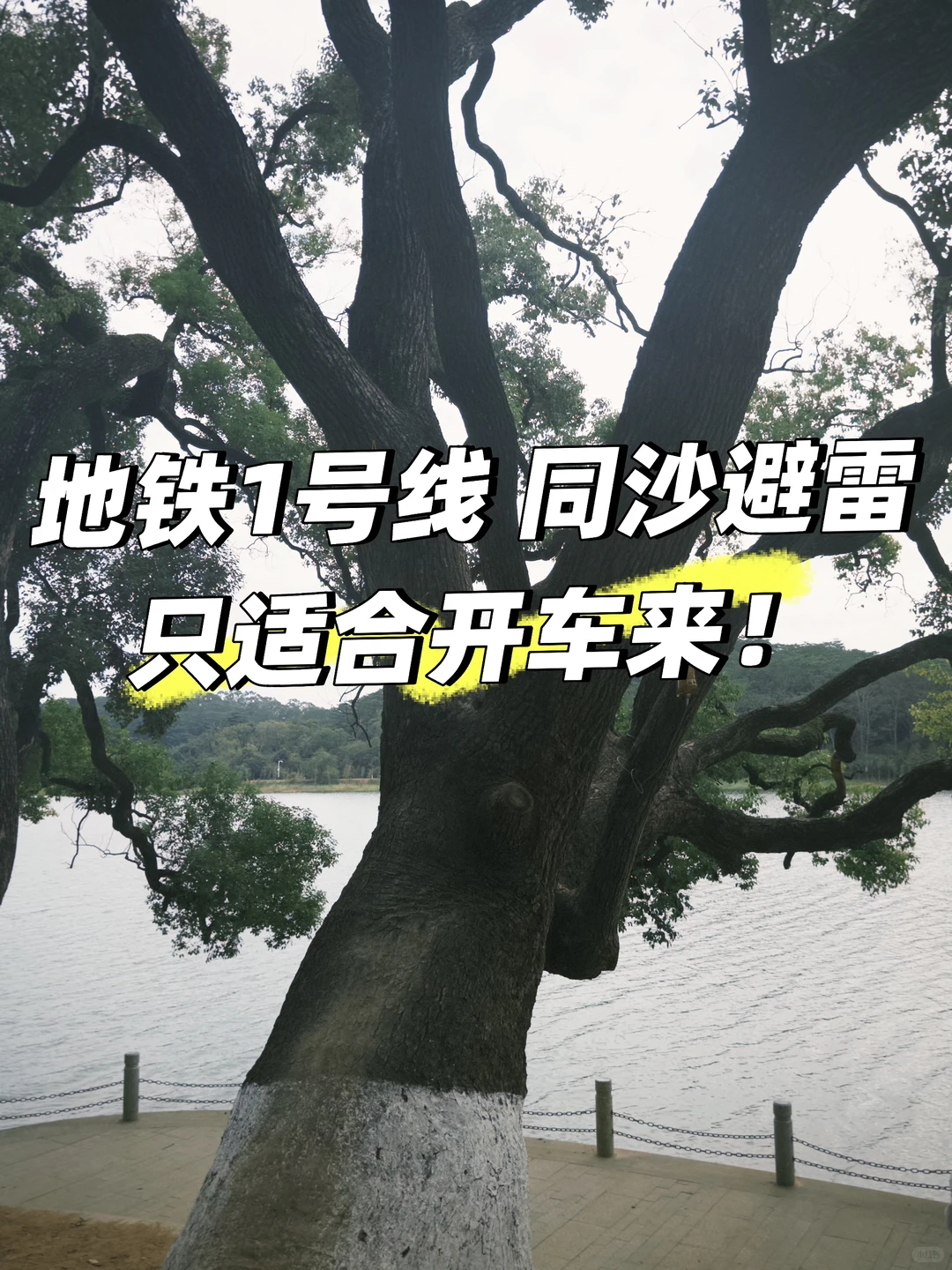 推荐一个适合带东莞仇人来遛弯的地方