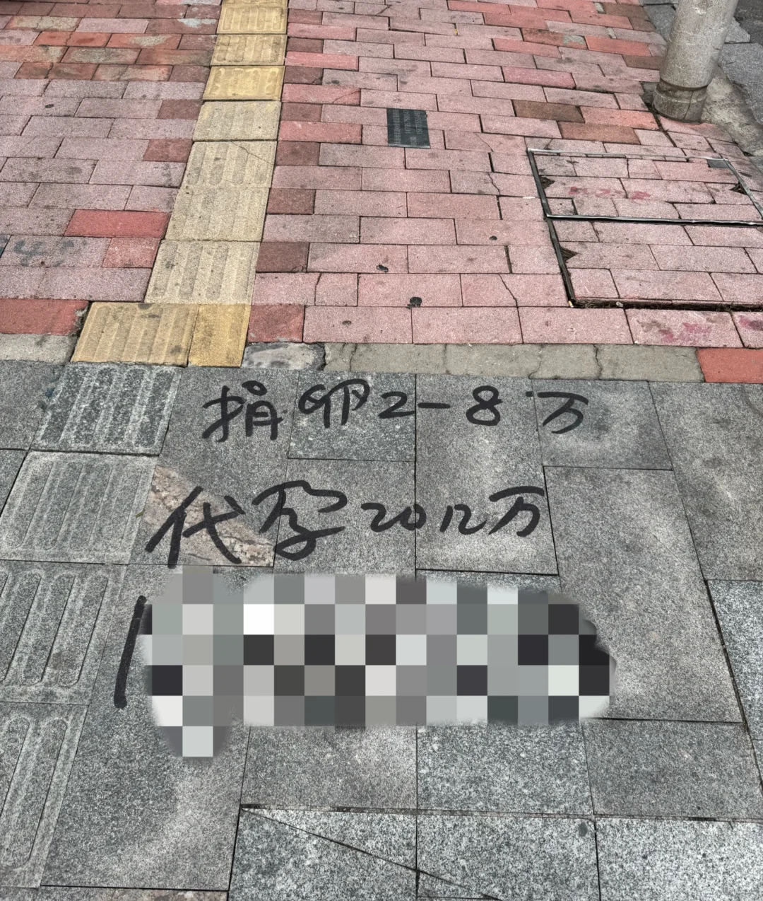 广州。当一只蟑螂出现的时候…