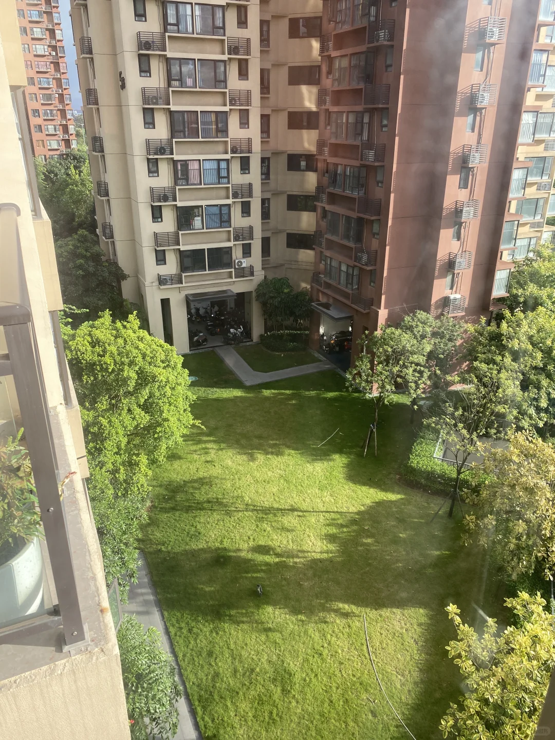 左一天气预报，左二实际天气情况