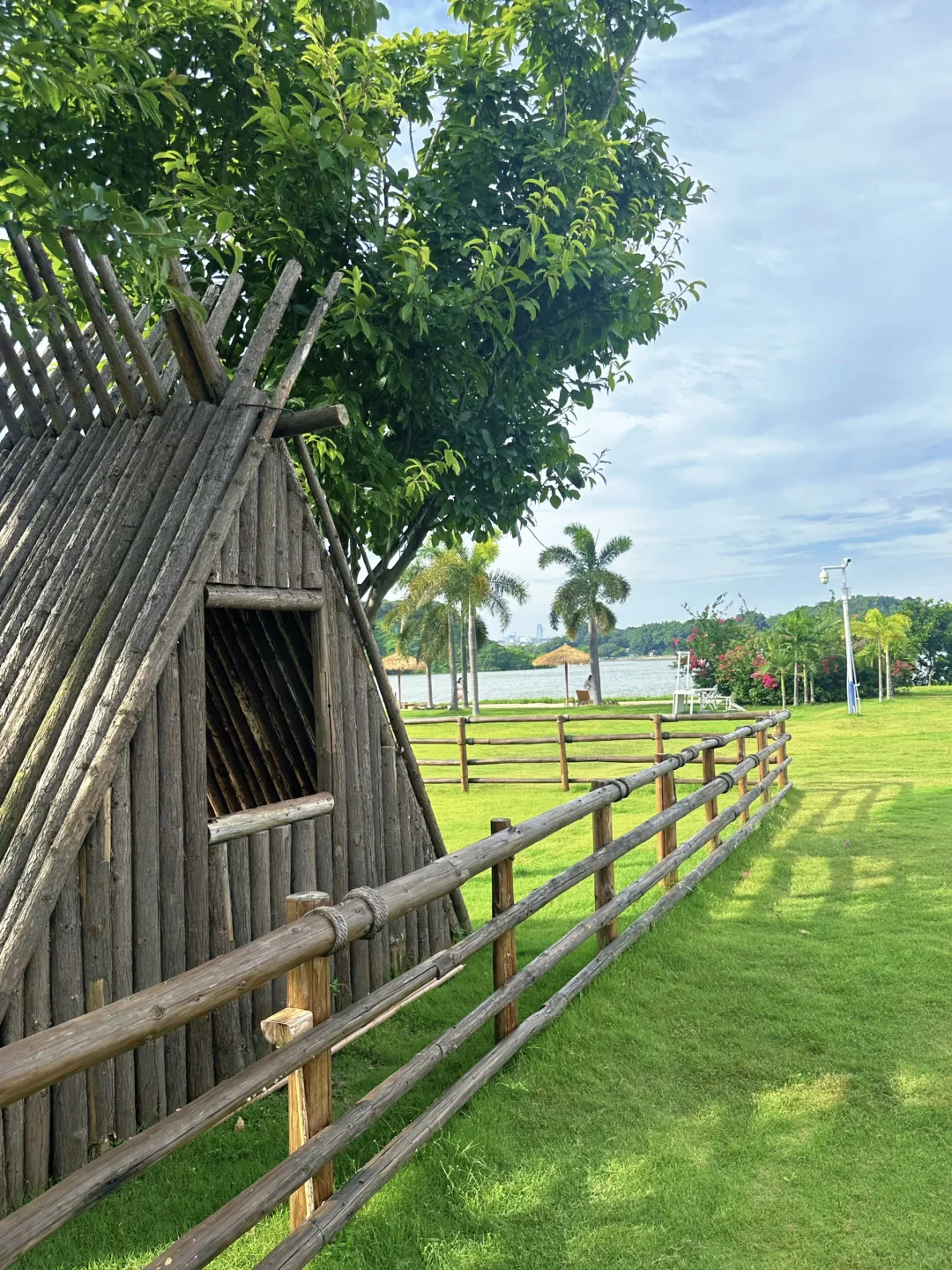 在广州！！我找到青青草原啦！！！