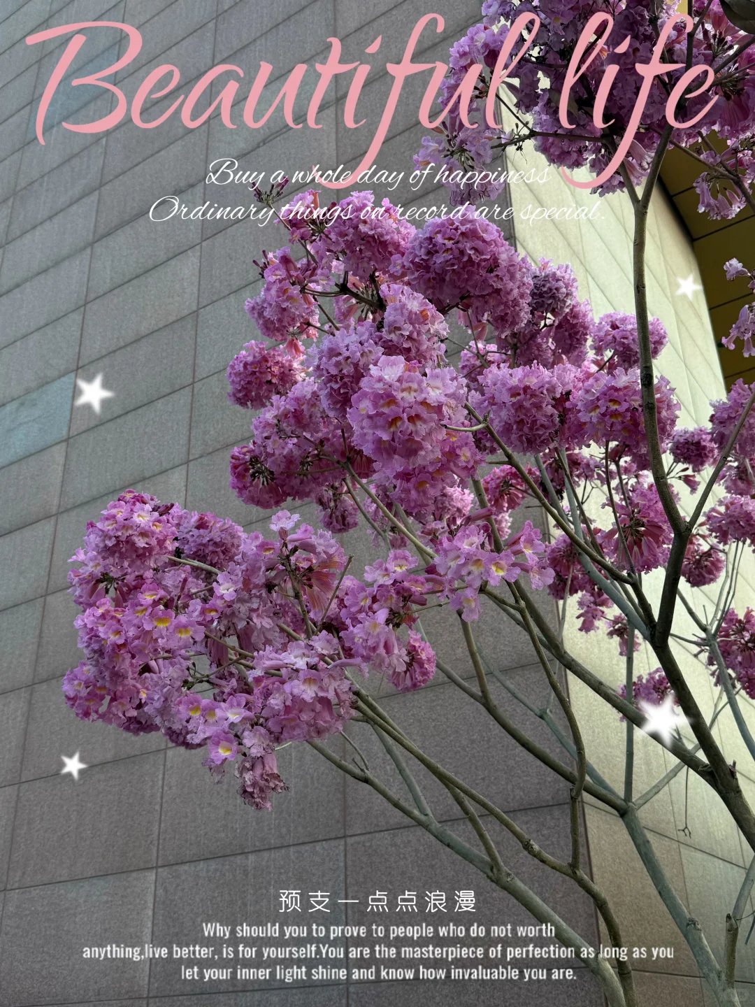 路过广州的冬天，繁花似锦