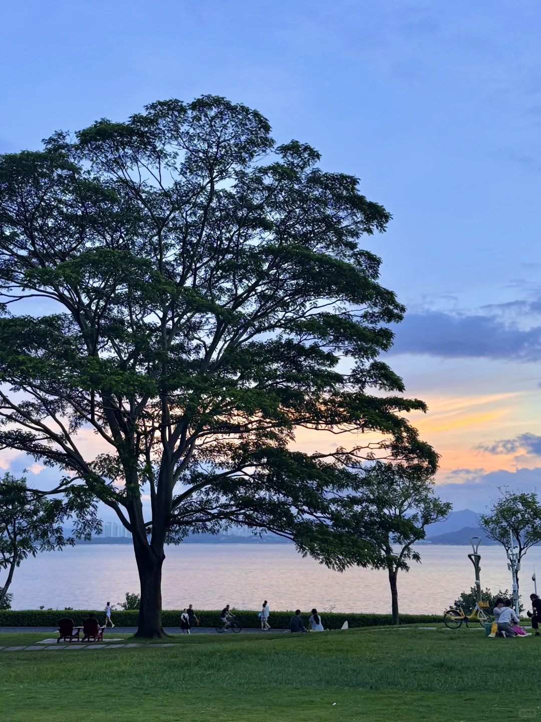 遇见电影《怦然心动》🌳