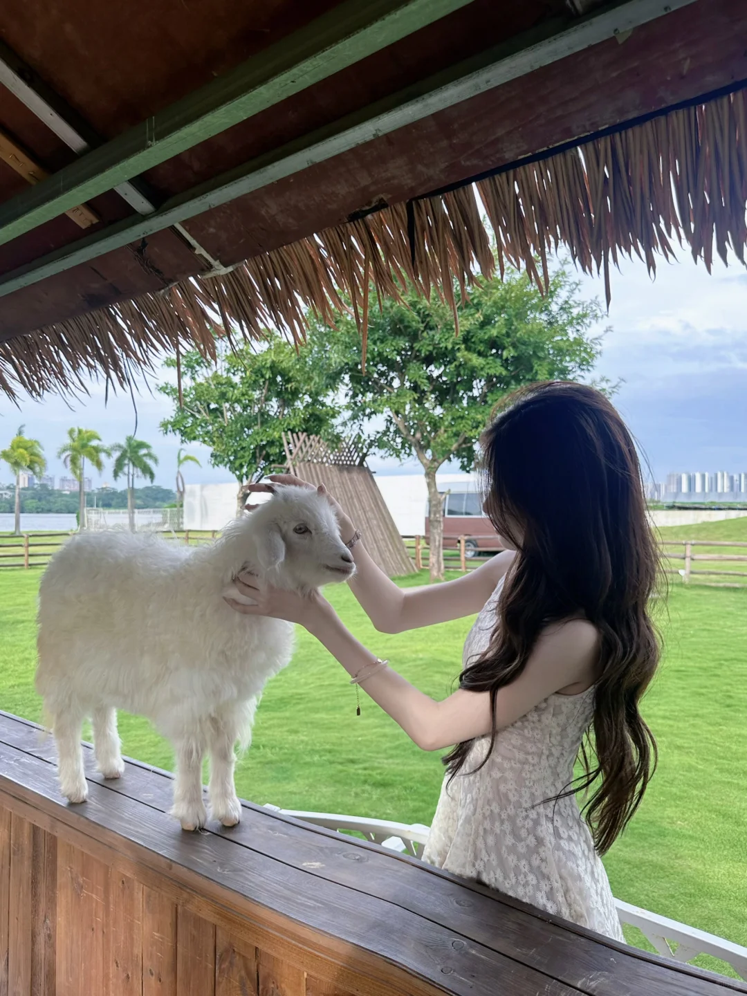 在广州！！我找到青青草原啦！！！