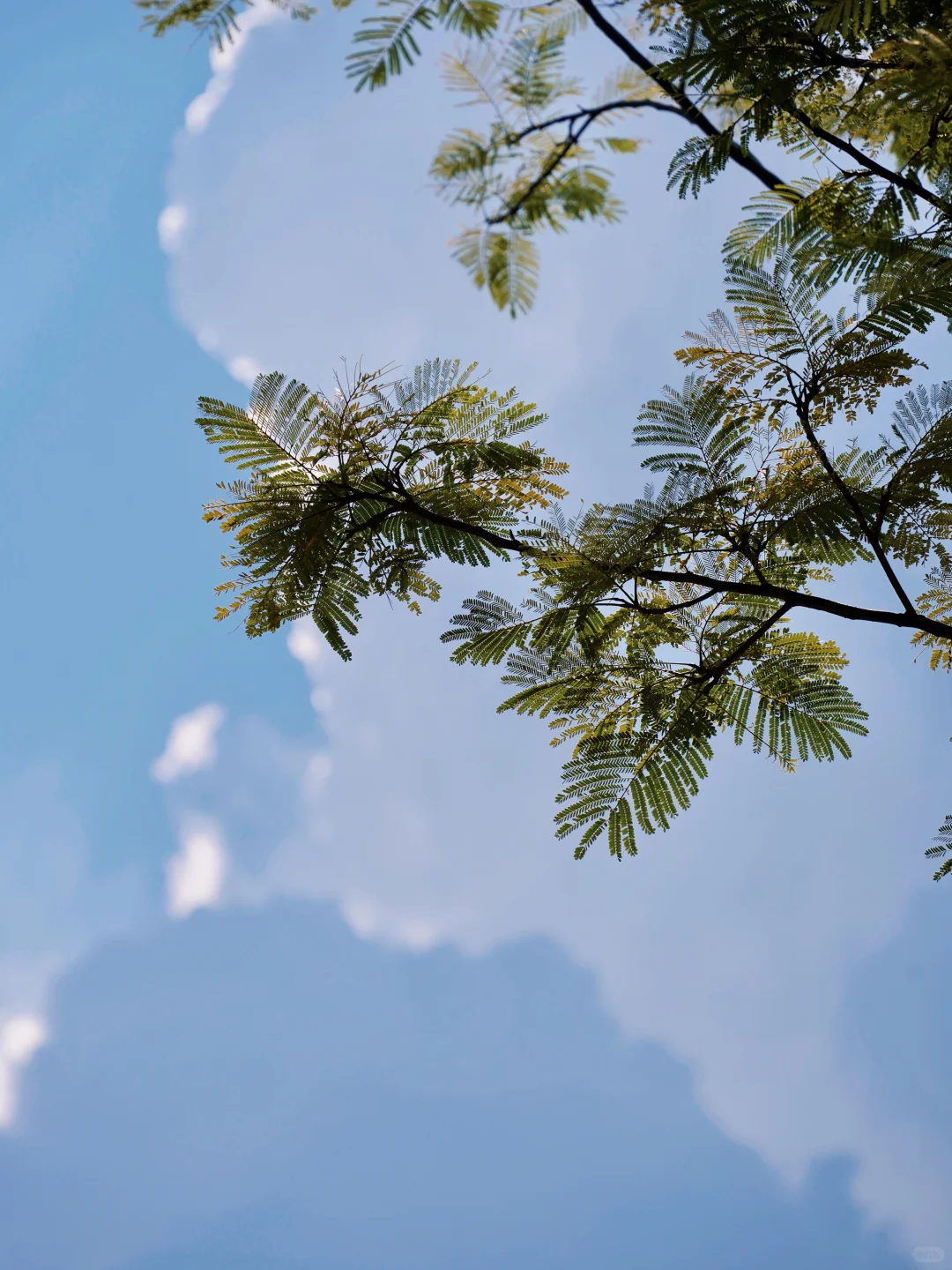 🔥东莞隐藏版“小九寨沟”！水濂山碧玉湖公园