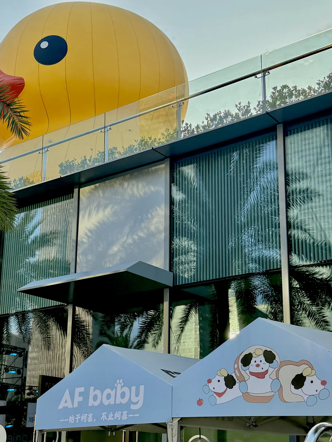 深圳猫朋狗友活动丨AFbaby户外生活节