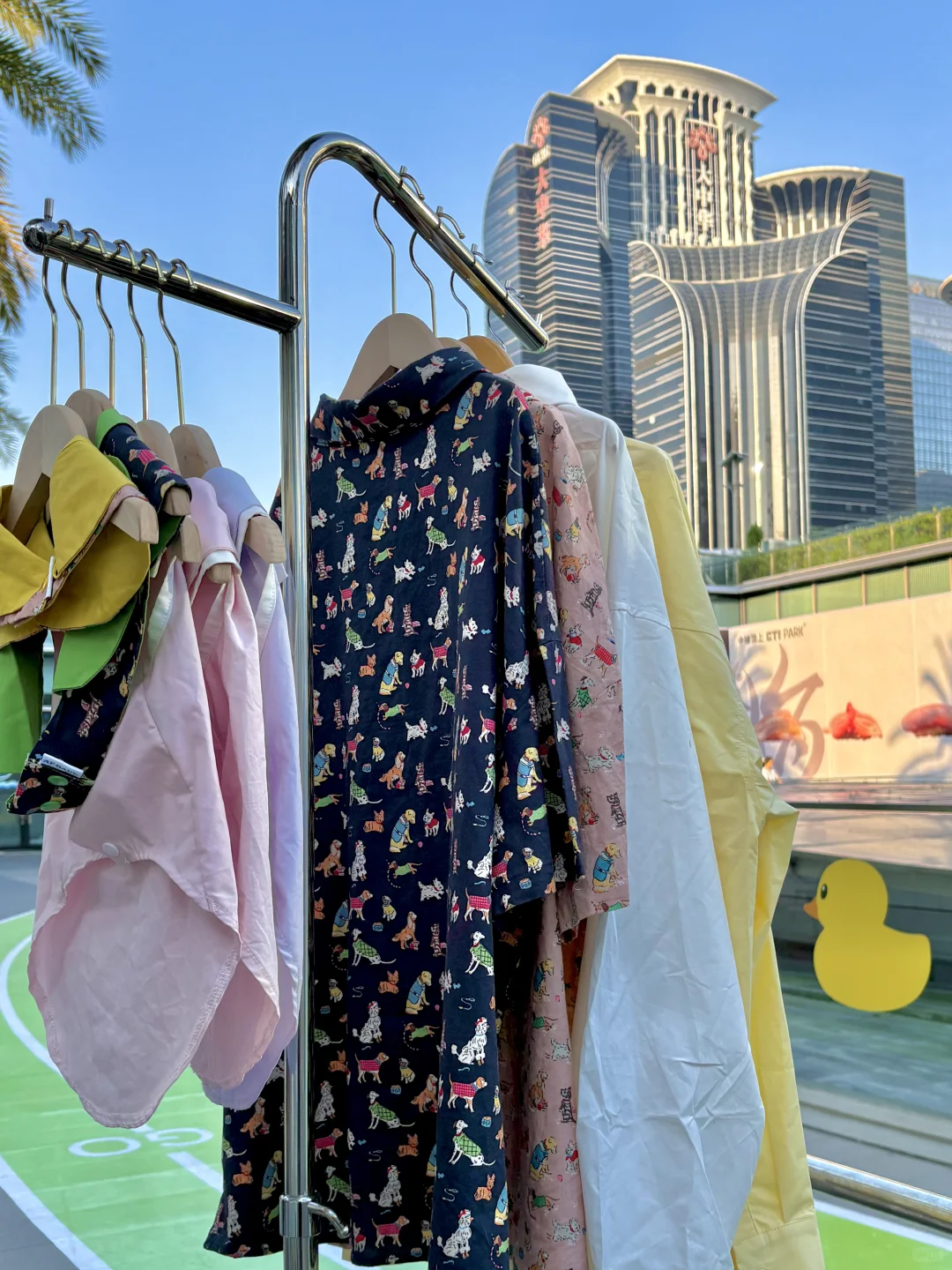 深圳猫朋狗友活动丨AFbaby户外生活节