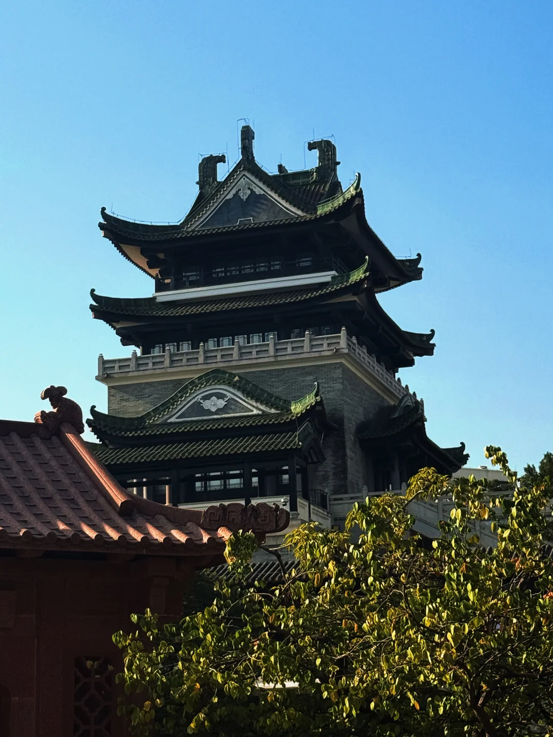 路过广州的冬天，繁花似锦