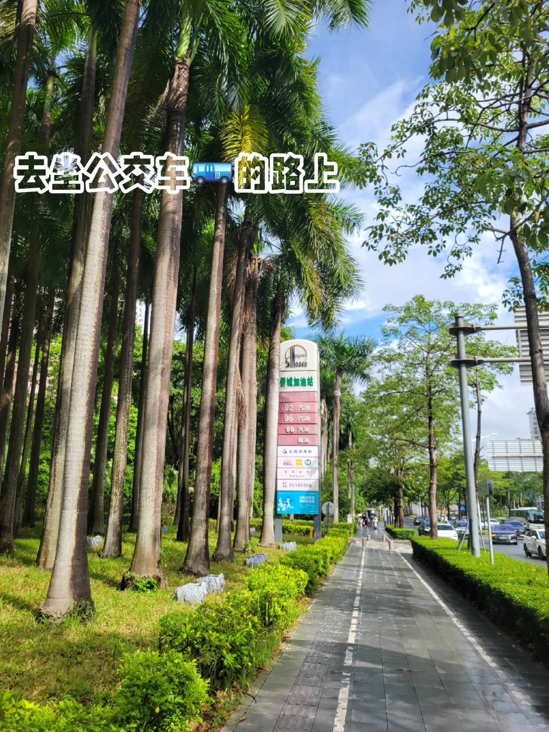 ✈️ 出差党深圳一日游逛吃路线