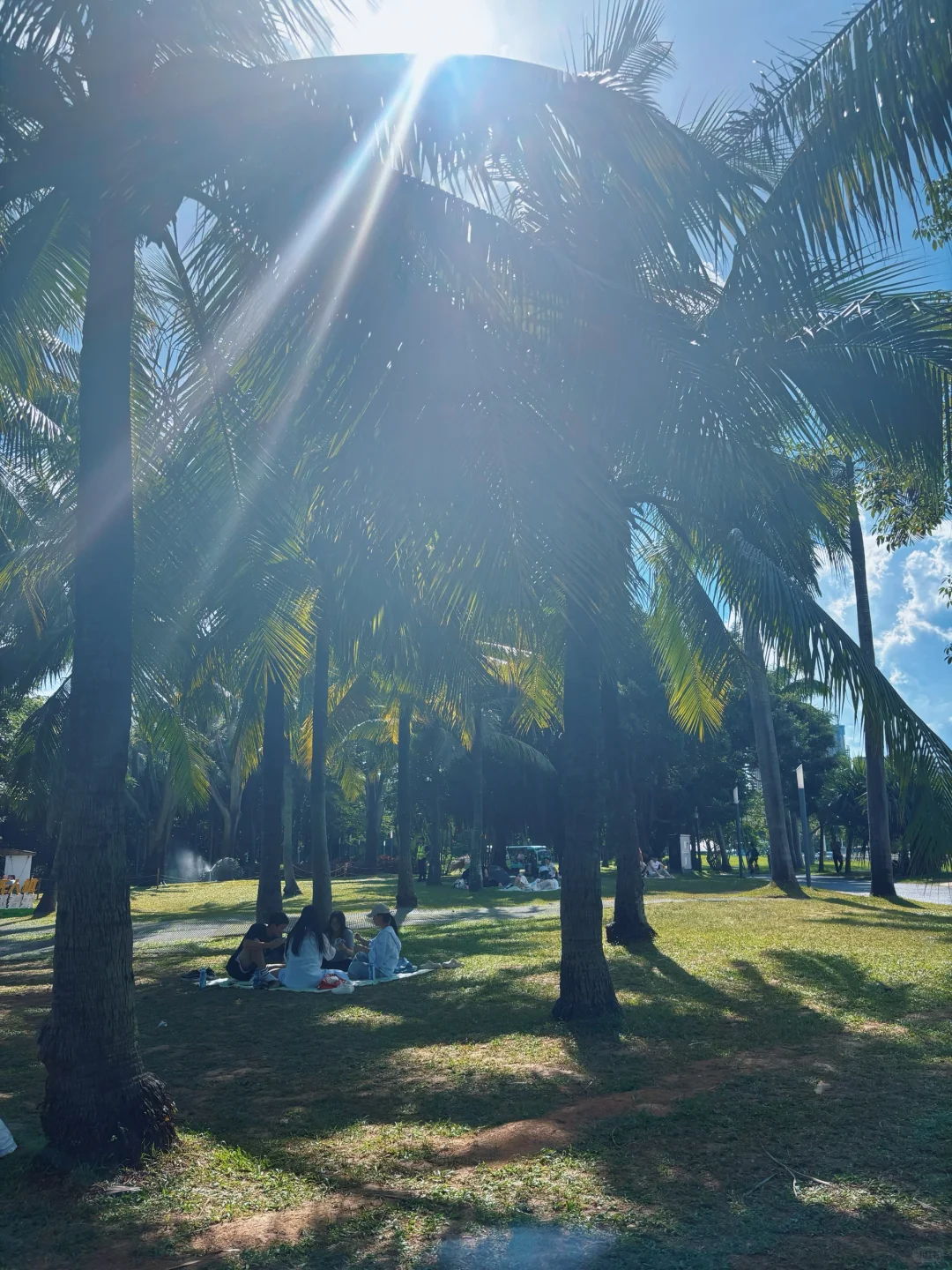 🌊一出地铁便是海！深圳湾能满足我所有愿望