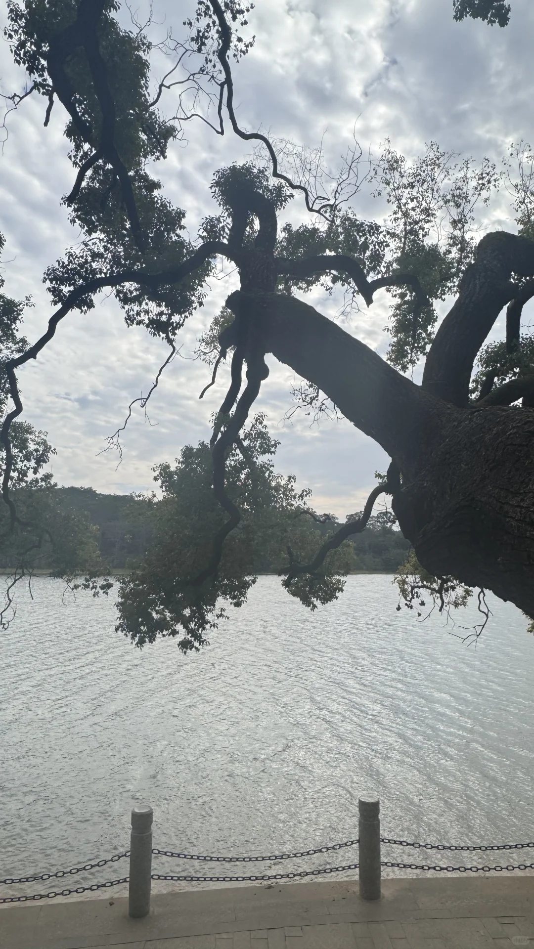 推荐一个适合带东莞仇人来遛弯的地方