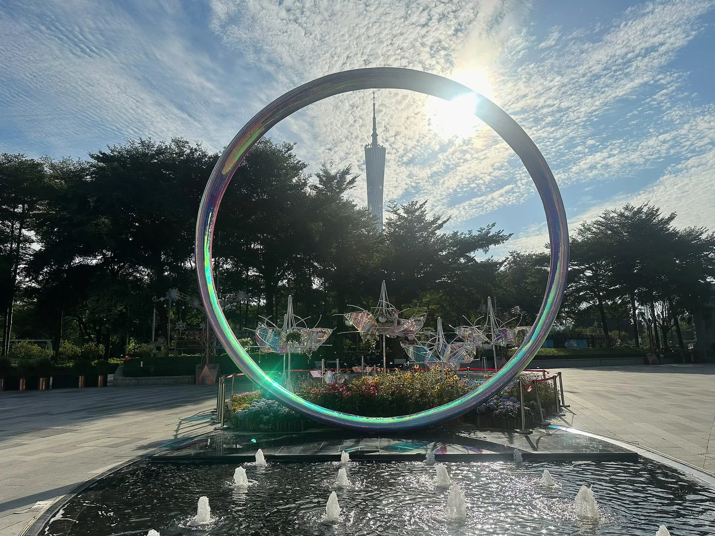 这阳光，这小圈，太好拍了～