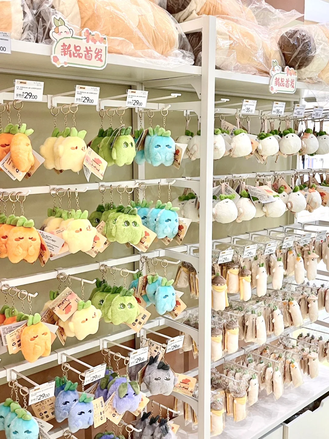 深圳快闪！！这里是桃源人的天堂吗…🥹