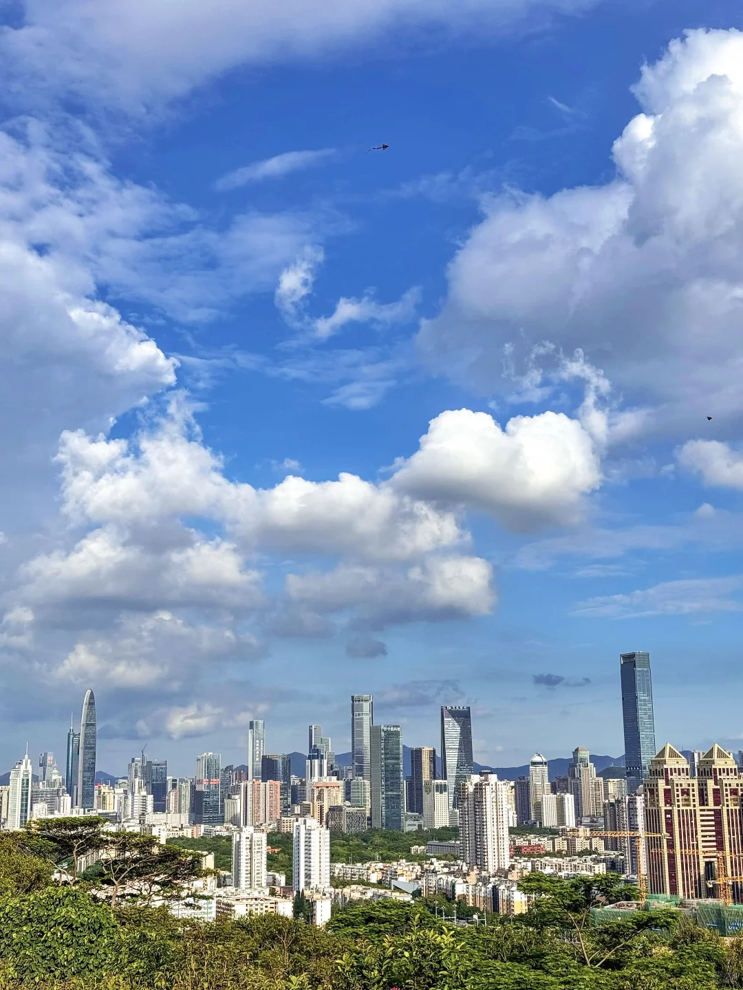 空气都好新鲜的深圳！！！