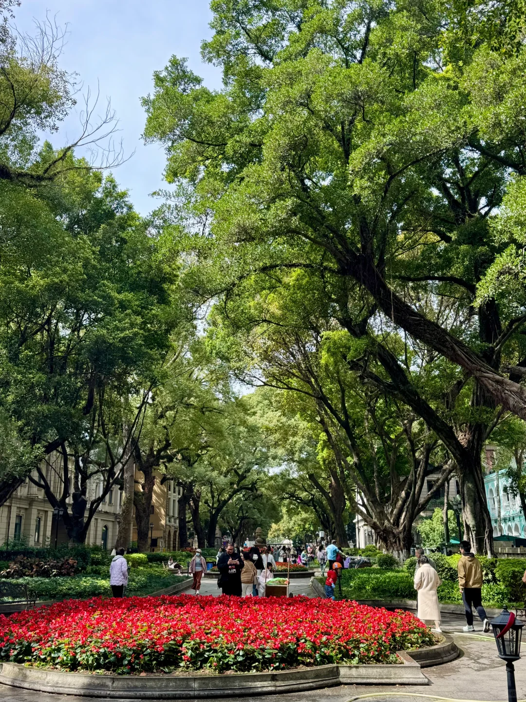 为了这18张Live图来趟广州……