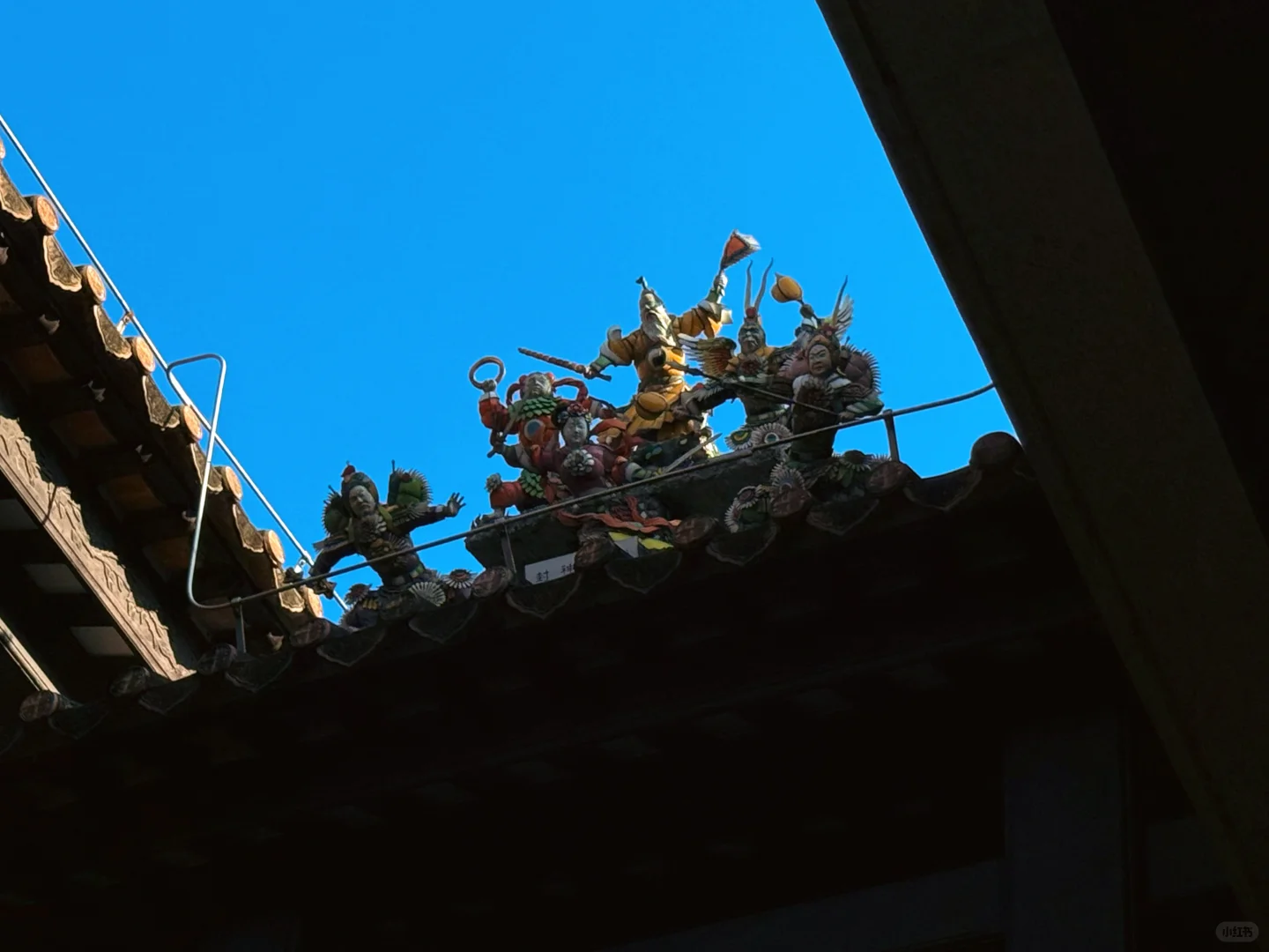 路过广州的冬天，繁花似锦