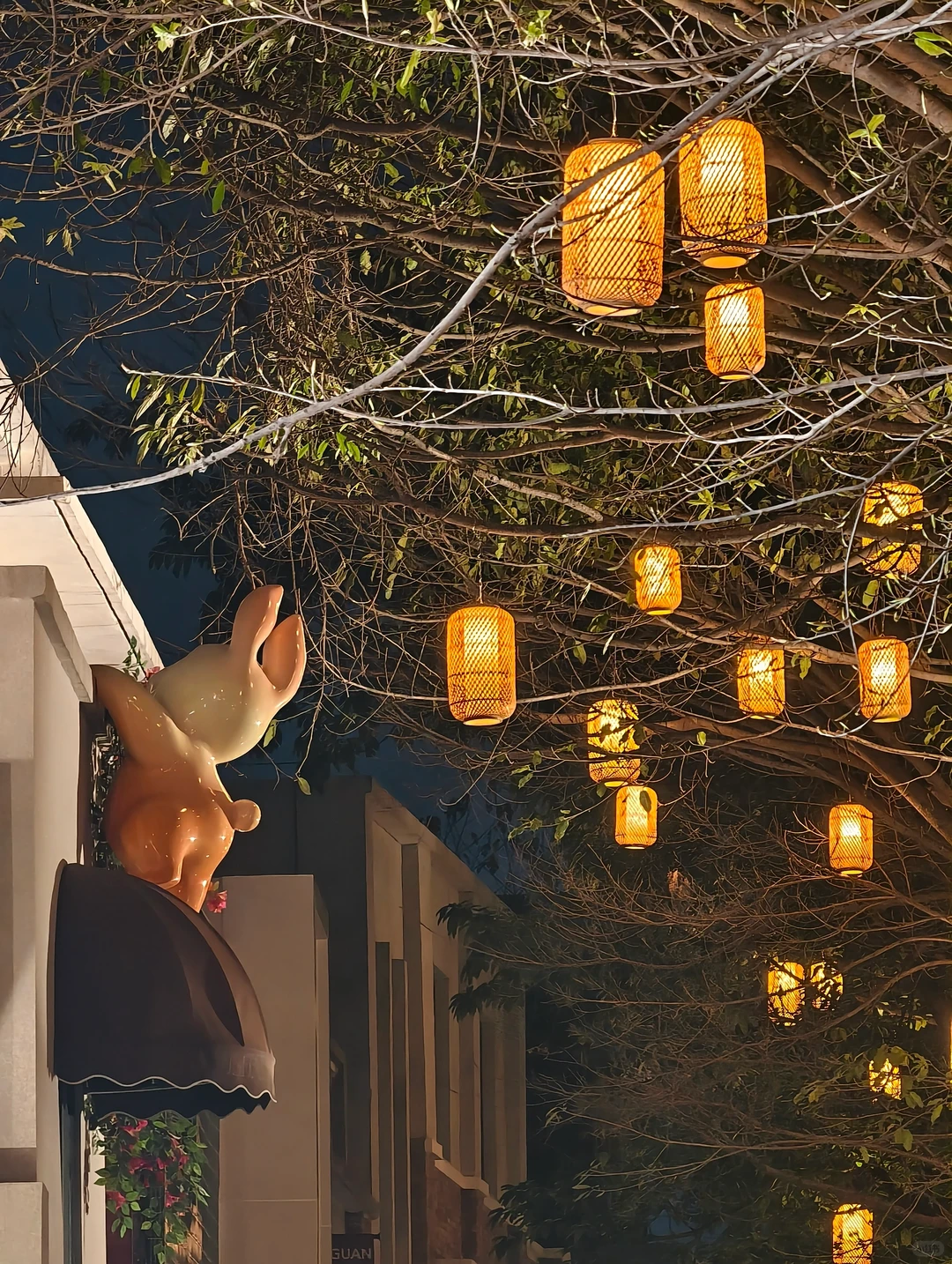 东莞莞城一日行Citywalk路线‼️不走回头路