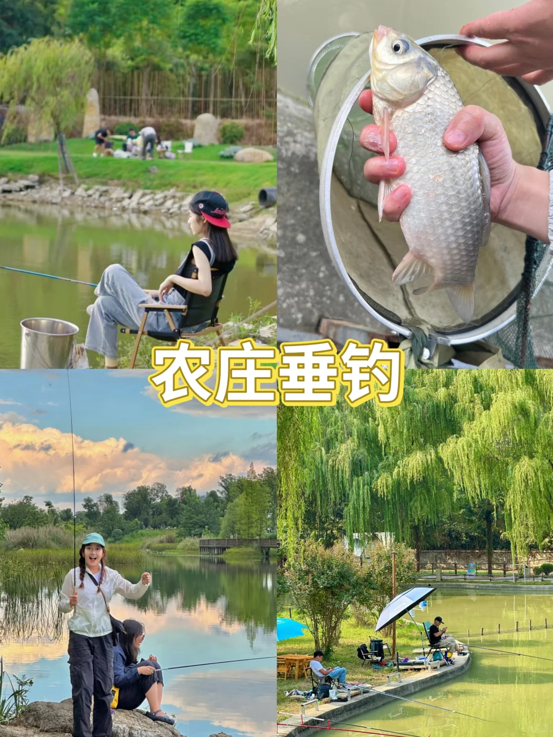 东莞特色小院农家乐🏡人均100➕硬控整天