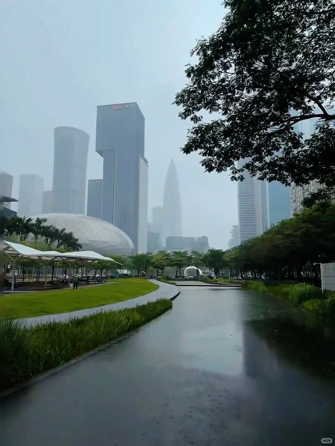 📍8.17深圳最新情况！计划去的先延迟⚠️