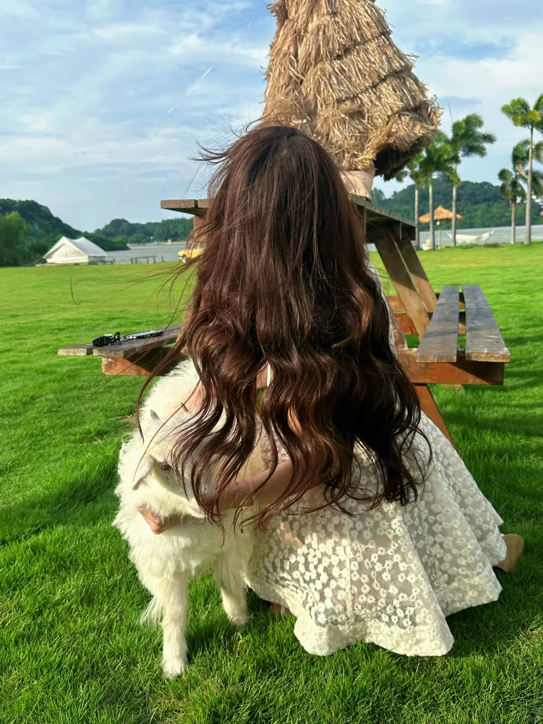 在广州！！我找到青青草原啦！！！