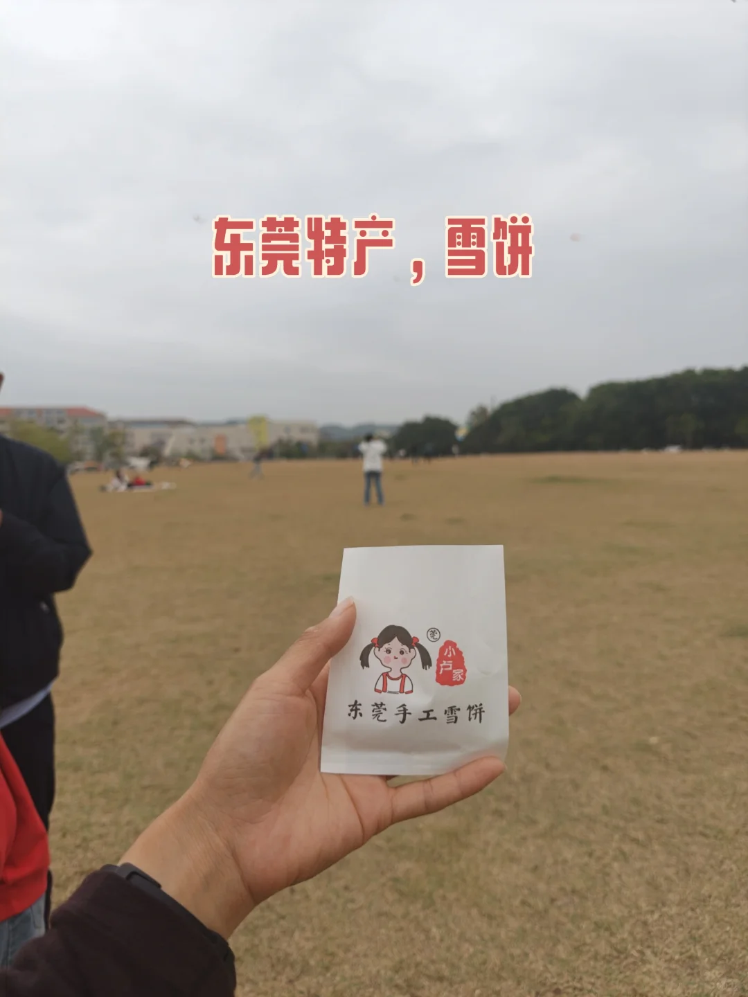 东莞特产之雪饼