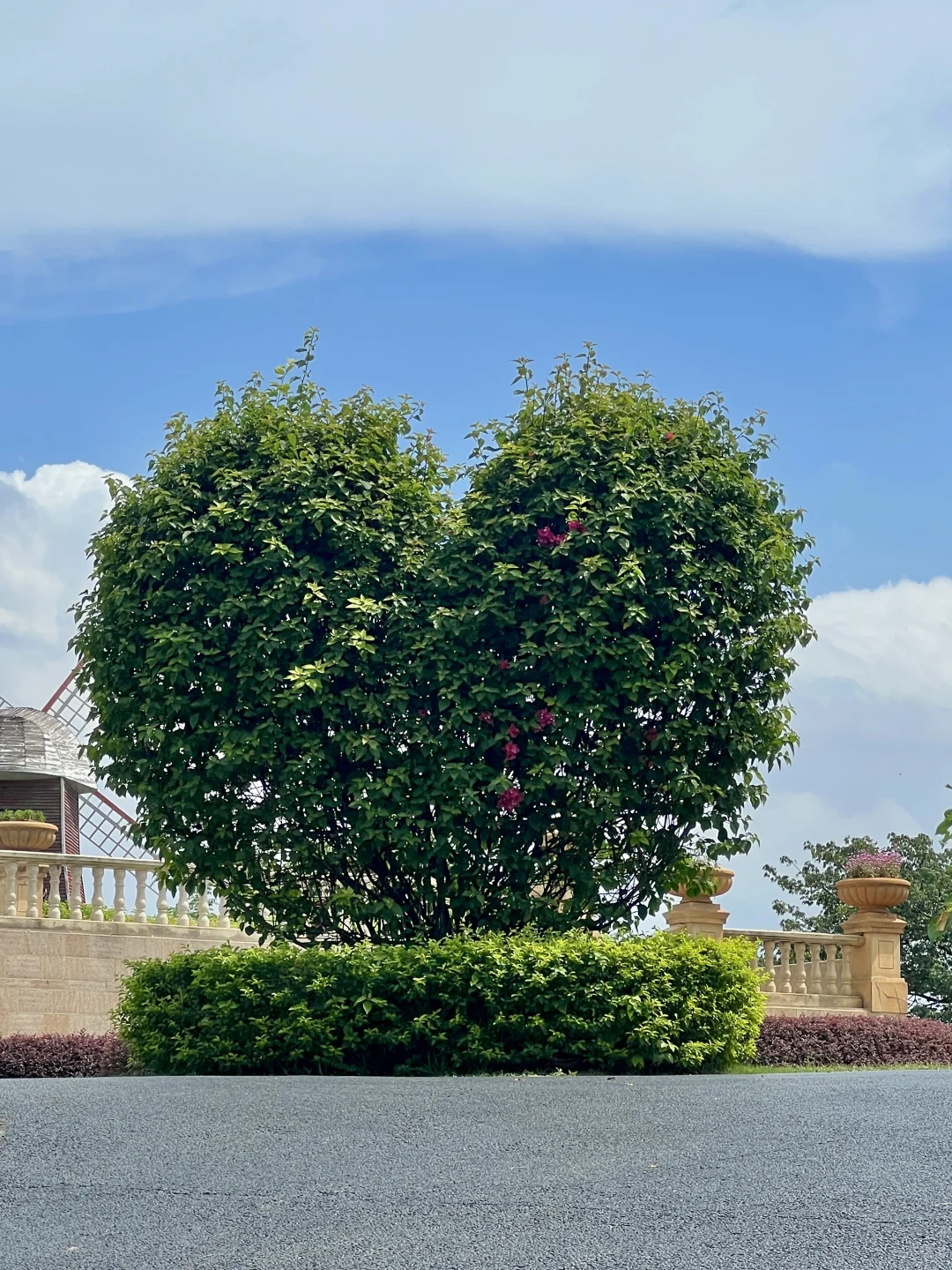 太治愈了！我在东莞找到了现实版绿野仙踪